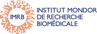 logo_imrb_pf