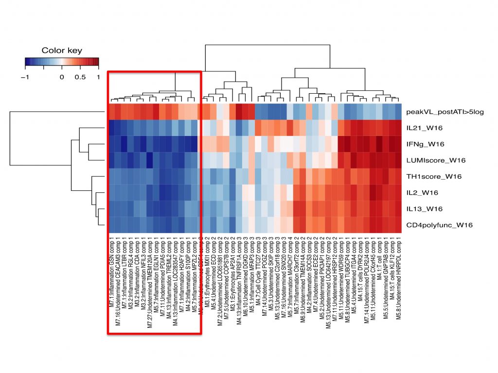 Figure 2 Equipe 16