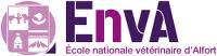 logo_ENVA